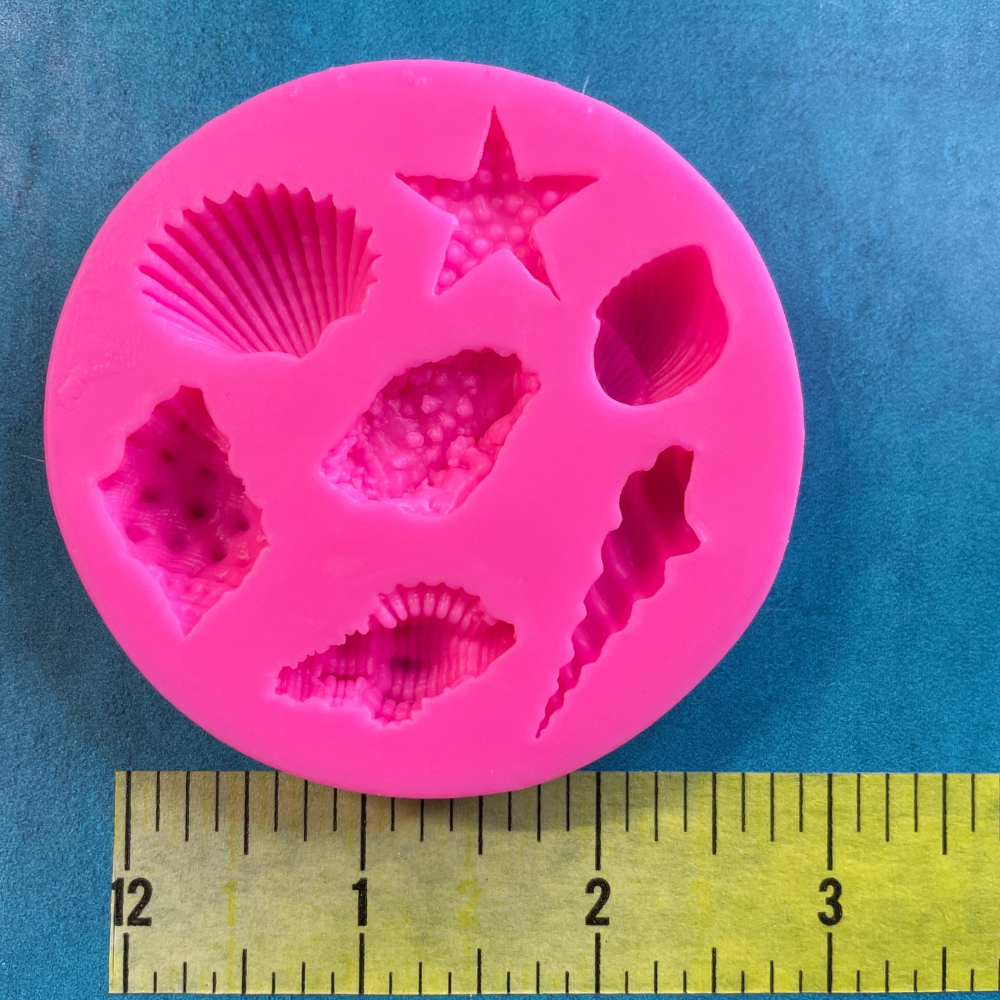 Seashells small mini silicone polymer clay and food safe mold
