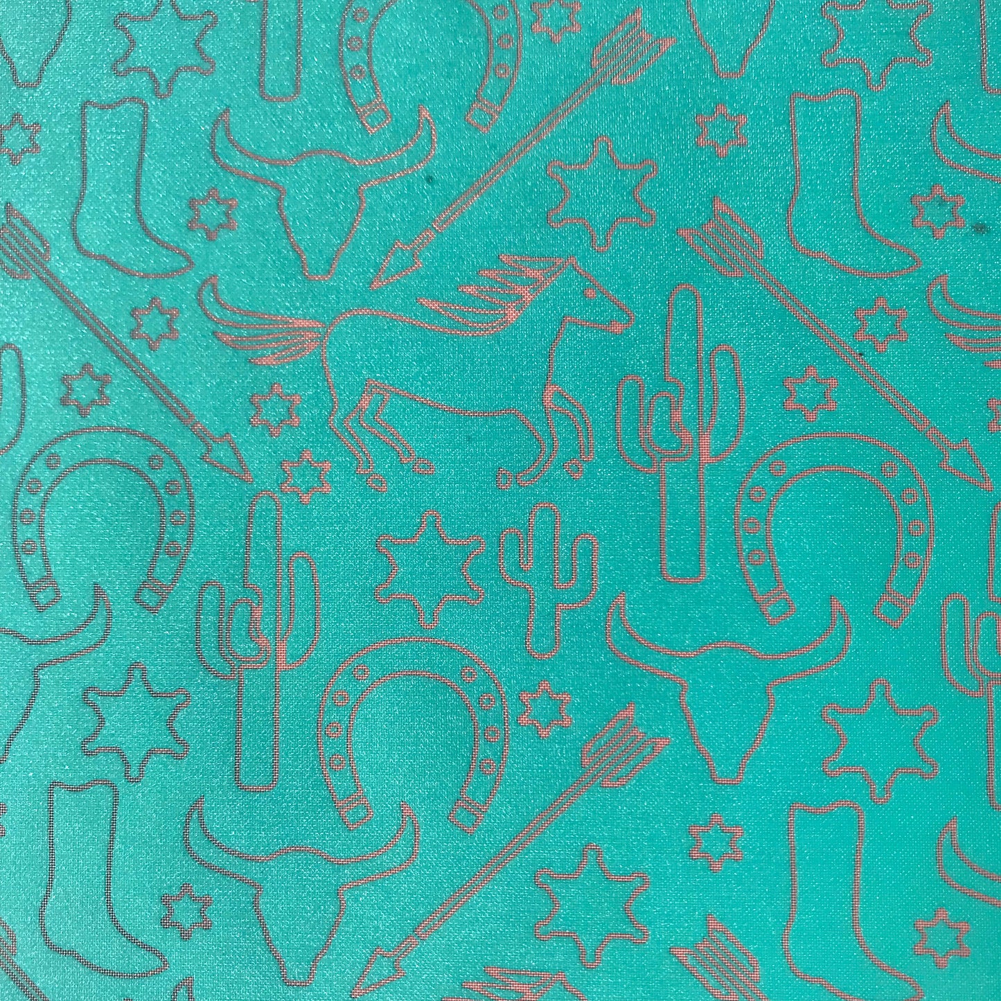 At the Ranch cowboy cactus cow skull horse shoe Silkscreen for polymer Clay