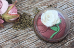 Enchanted Rose Pendant - Enchantment Create Along Box