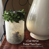 Captured Fairy Jar - Enchantment Create Along Box