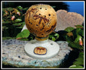 Dragonfly Sphere - Dragonfly Dreams Create Along Box