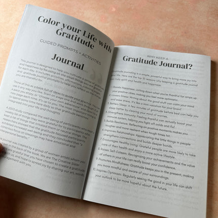 Color your Life with Gratitude daily prompt coloring writing journal - Create Along 