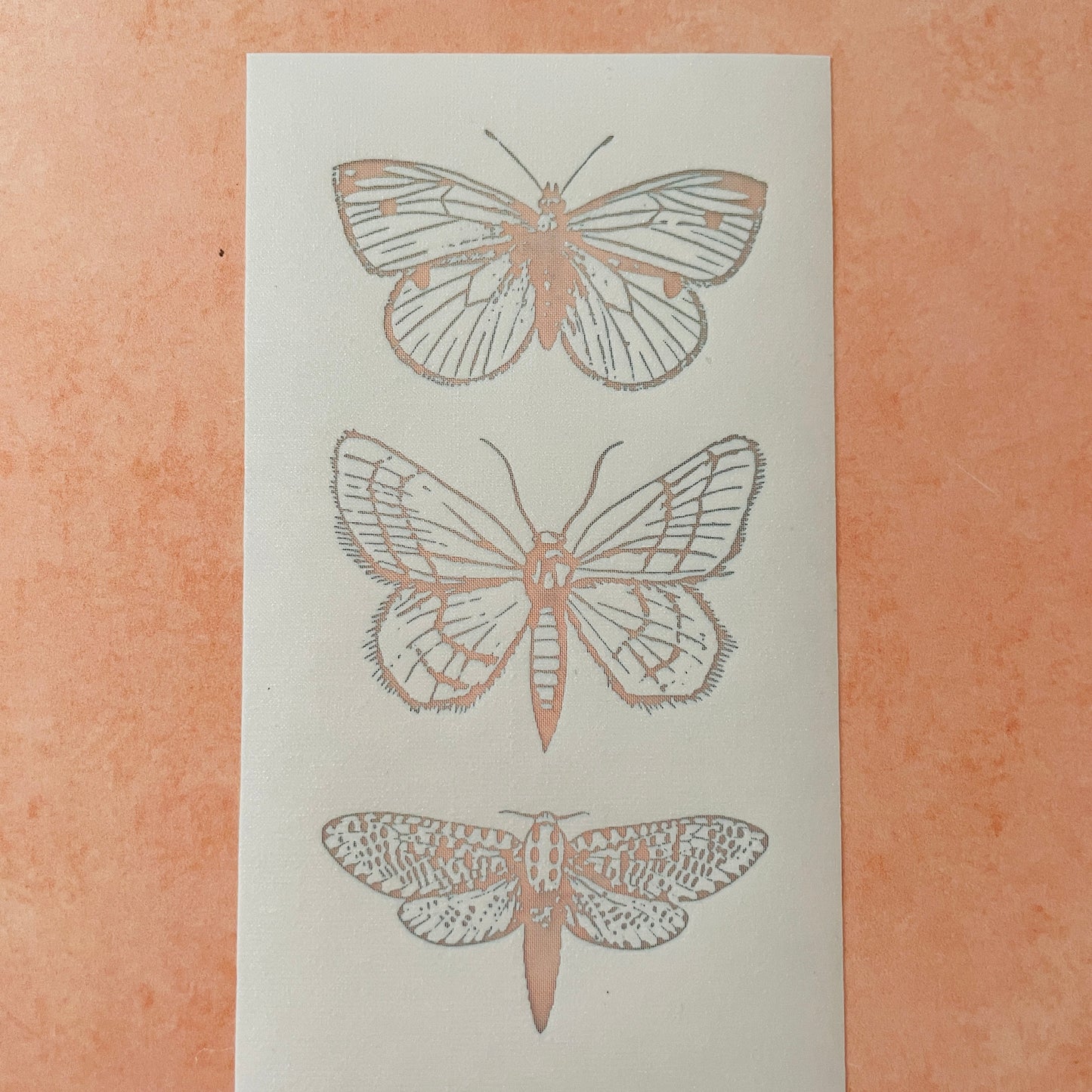 3 Moths polymer clay silk screen stencil