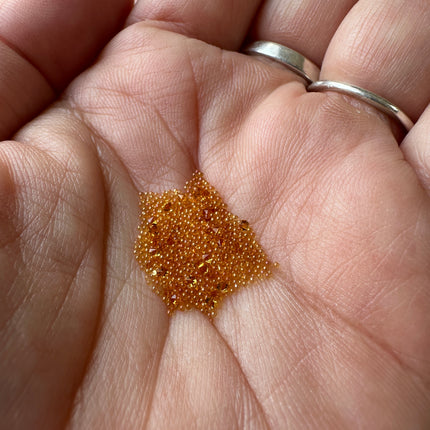 AB golden topaz Caviar Micro Beads no hole mini tiny flower centers - Create Along 