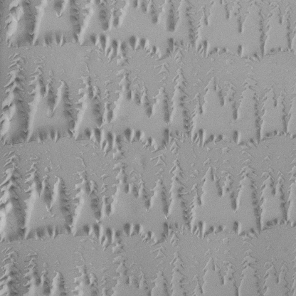 Texture Tile - Wisconsin Pines